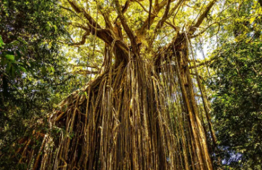 Experience the best of New Zealand with these touring ideas