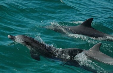 Discover everything New Zealand has to offer with these great vacation packages
