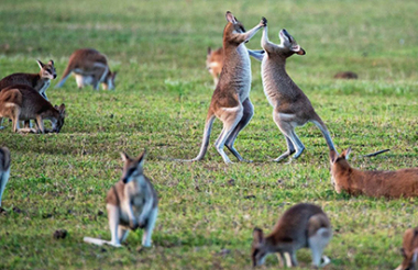 Explore New Zealand with these great holiday ideas