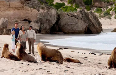 See all of New Zealand with a tailor-made package holiday