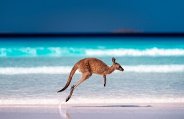 New Zealand holidays & tours