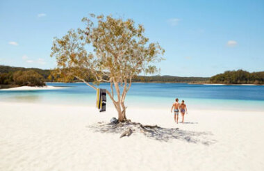 Discover everything New Zealand has to offer with these great vacation packages