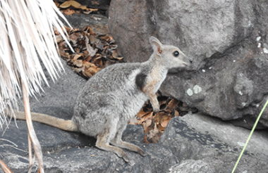 New Zealand holidays & tours