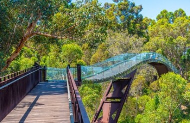 See all of New Zealand with a tailor-made package holiday