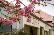 Exclusive Bannockburn Winery Tour with Kiwi Journeys - Lunch Included