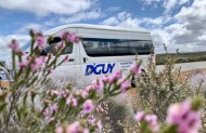 Kalbarri Wildflowers Tour with D' Guy Charter - Morning Tea Included