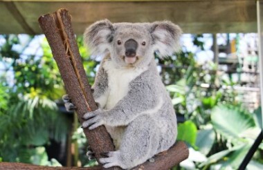 Explore New Zealand with these great holiday ideas