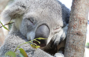New Zealand holidays & tours