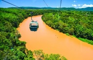 Skyrail Rainforest Cableway