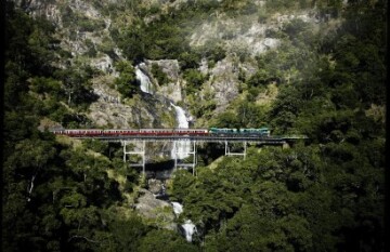 Rainforest & The Great Barrier Reef Adventure - Day 2