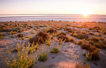 SA Eco Tours: Adelaide to Kati Thanda-Lake Eyre Small Group Eco Safari - Day 4