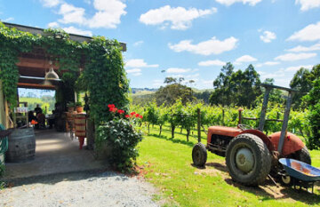 Popular Melbourne City Break - Day 3
