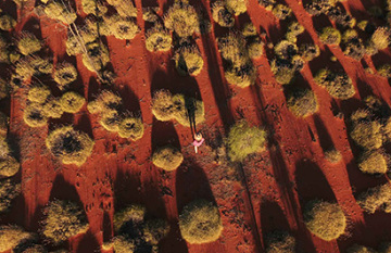 Coast to Coast Australian Discovery - Day 19
