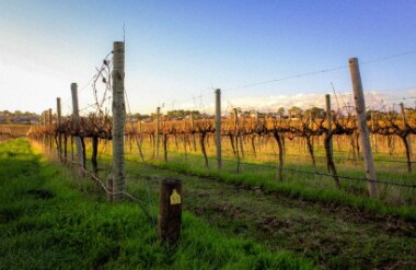 NZ self drive itineraries and package holidays