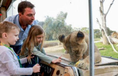 Explore New Zealand with these great holiday ideas
