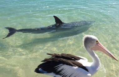 New Zealand holidays & tours