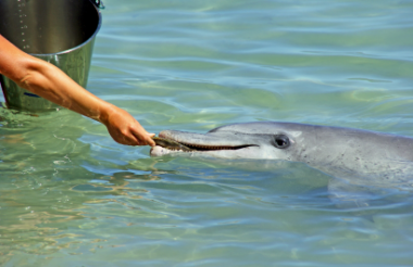 Explore New Zealand with these great holiday ideas