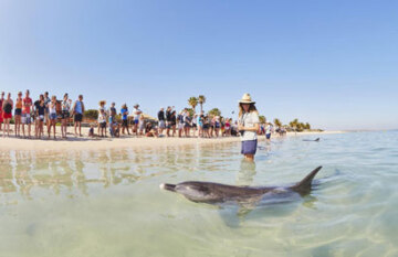 Coral Coast Tour - Day 9