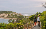 Mornington Peninsula Wine & Sightseeing Private Tour with Immersed Tours includes Lunch