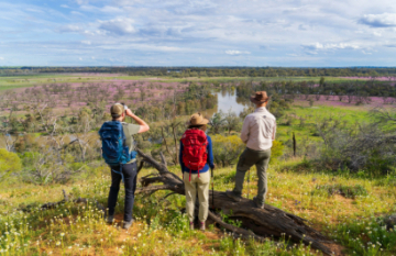 Murray River Walk - Day 1