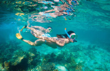 Autopia Tours: Ningaloo Whale Shark Tour - Day 4