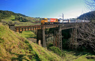 The Northern Explorer Scenic Train: Wellington to Auckland
