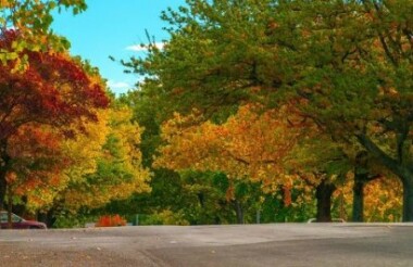 NZ self drive itineraries and package holidays