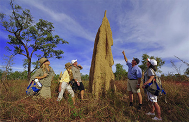 New Zealand holidays & tours