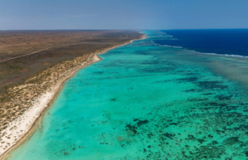 Autopia Tours: Ningaloo Whale Shark Tour - Day 6
