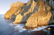 Tasman Island Cruise Full Day Tour with Pennicott Journeys including Lunch