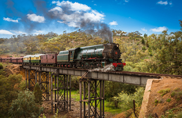 Flinders Ranges & Barossa Valley Ultimate Treat - Day 5