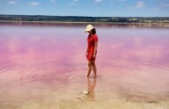 Pink Lake and Coastal Cliffs Tour with D' Guy Charter - Morning Tea Included