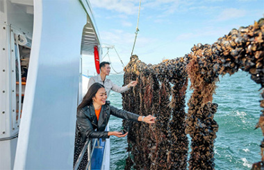 Discover everything New Zealand has to offer with these great vacation packages
