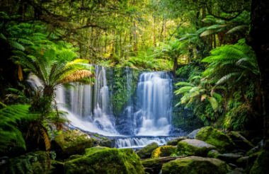 Explore New Zealand with these great holiday ideas