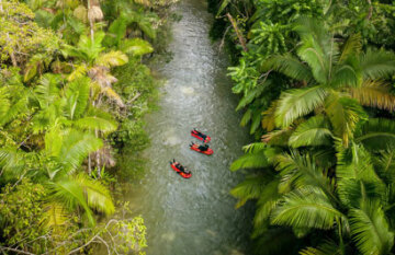 Wonders of Port Douglas Tour - Day 5