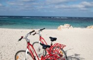 One Day Bike Hire with Rottnest Express