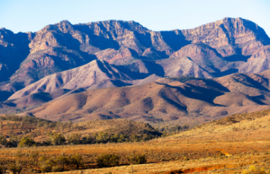 Discover everything New Zealand has to offer with these great vacation packages