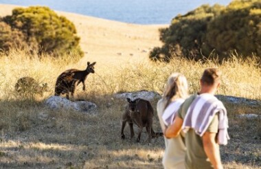NZ self drive itineraries and package holidays