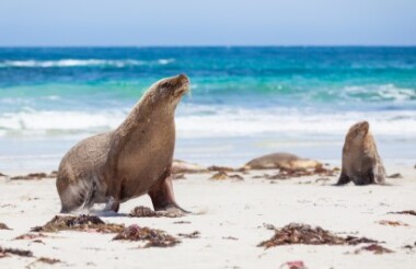 Explore New Zealand with these great holiday ideas