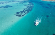 Steep Point Marine Safari with Shark Bay Eco Tours - Lunch Included