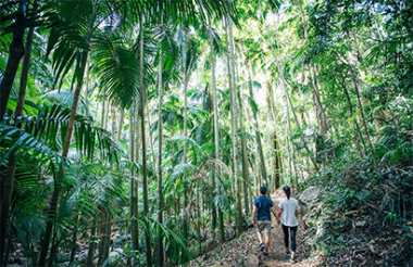 NZ self drive itineraries and package holidays