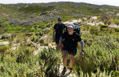 See all of New Zealand with a tailor-made package holiday