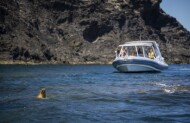 The Big Duck Boat Tours - Seal Island
