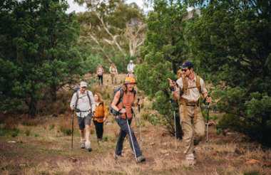 Explore New Zealand with these great holiday ideas