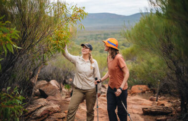 See all of New Zealand with a tailor-made package holiday