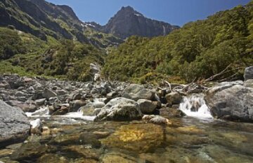 Milford Track & South Island Explorer - Day 6