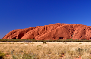 See all of New Zealand with a tailor-made package holiday