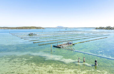Experience the best of New Zealand with these touring ideas