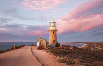 Autopia Tours: Ningaloo Whale Shark Tour - Day 5