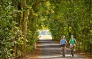 Moutere Wine & Artisans Guided E-Bike Cycle Tour with Wheelie Fantastic